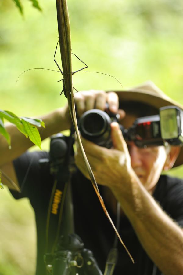 Suital Lodge Mogos Bagian luar foto