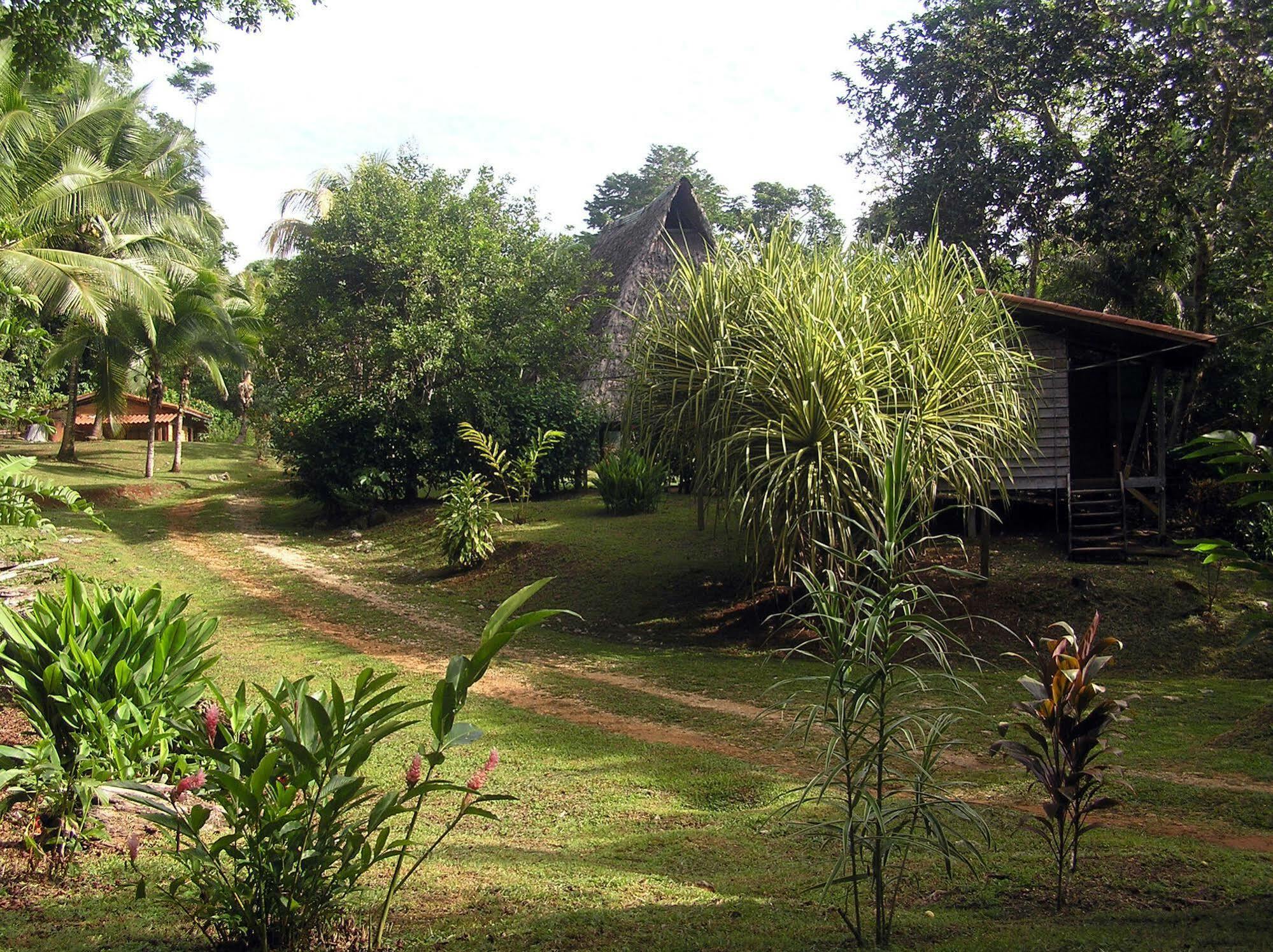 Suital Lodge Mogos Bagian luar foto